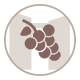 icone vigne et vin des chambres d'hotes du mas de la rivoire