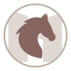 icone équitation des gites et chambre d'hotes du mas de la rivoire