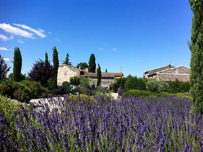 Jardin et lavandes des chambres d'hotes du Mas de la Rivoire