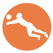 Logo beach volley