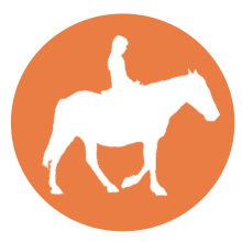 Logo équitation
