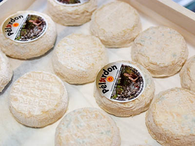 The Pelardon goat cheese from the Cèvennen