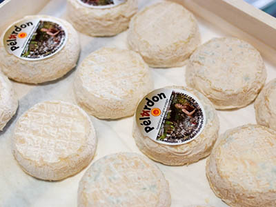 Fromage de chèvre „pélardon des Cévennes“